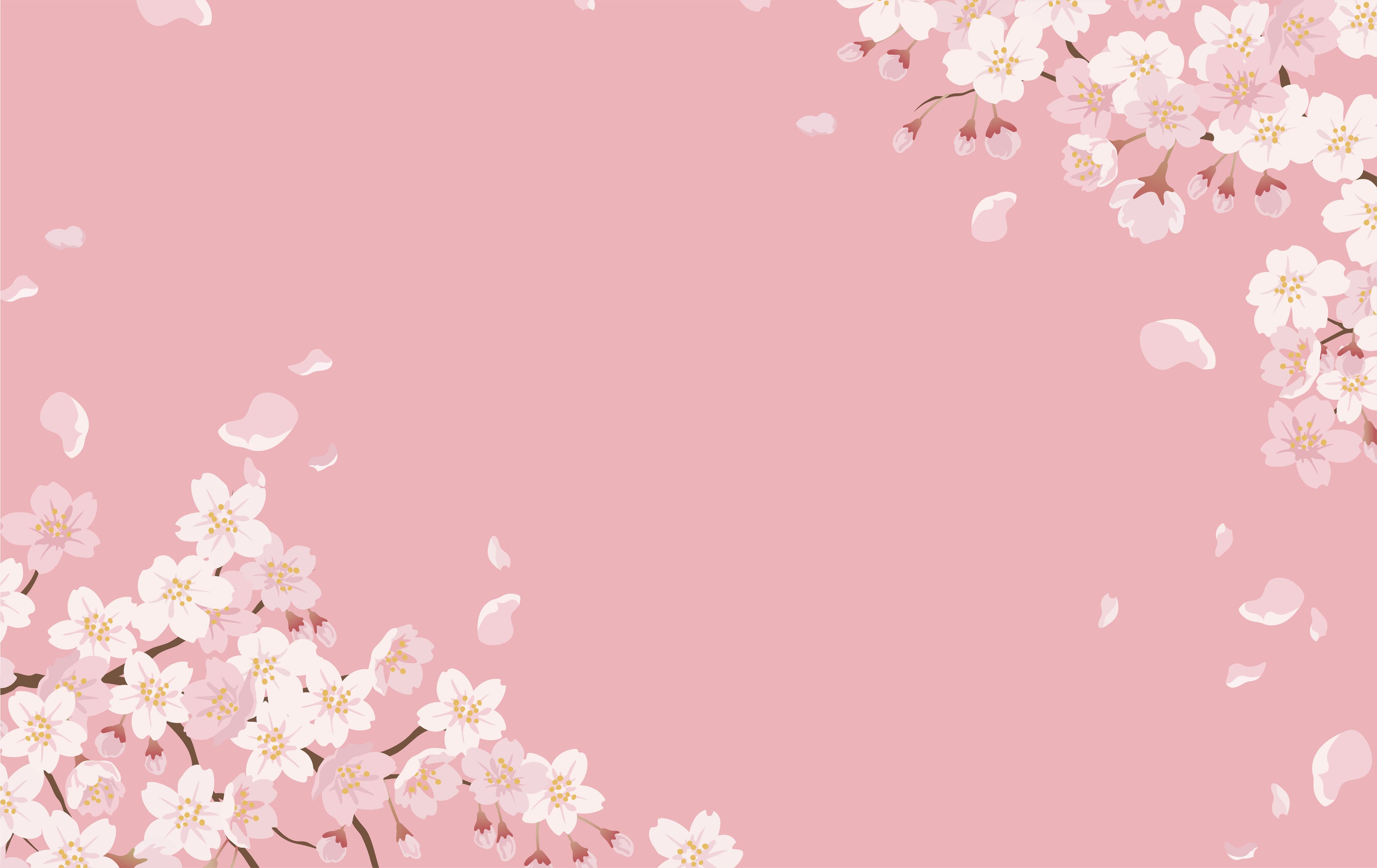 Détail floral Softbella